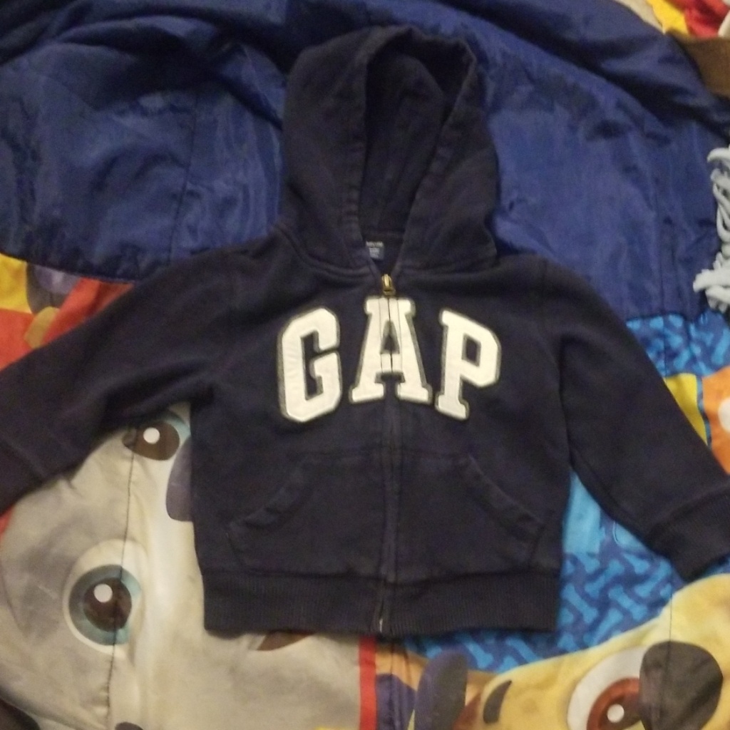 Gap Hoodie